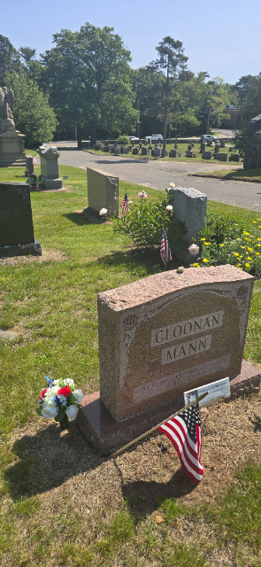 Red, White & Blue arrangement placed at a veteran's grave