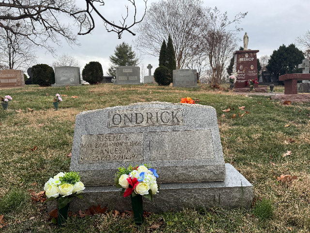 White Roses & Hydrangeas arrangement at a grave
