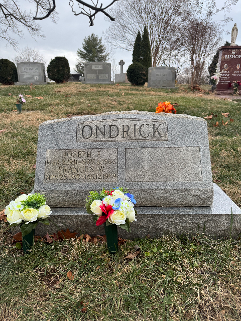 White Roses & Hydrangeas arrangement at a grave