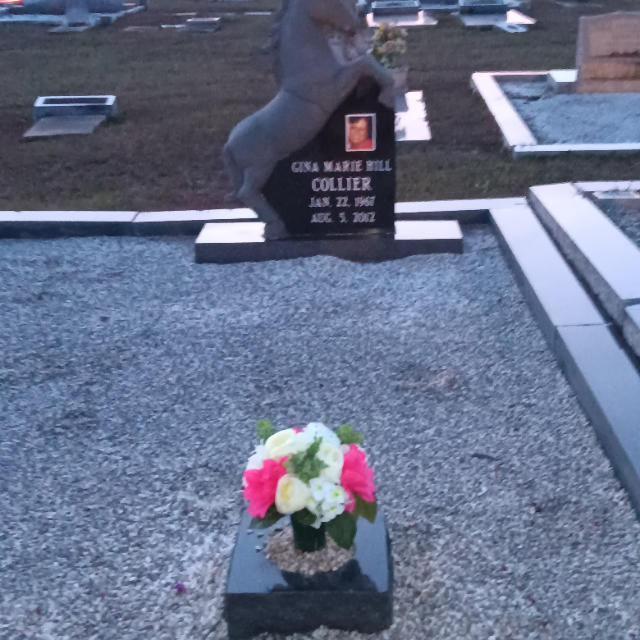 Hot Pink & White Roses arrangement at a grave