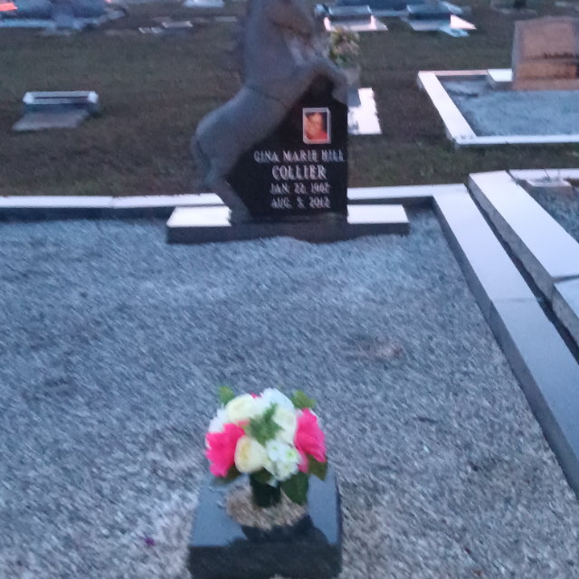 Hot Pink & White Roses arrangement at a grave