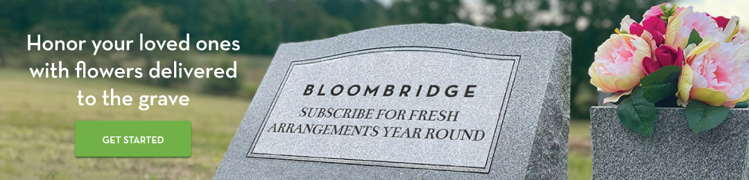 BloomBridge-FG-Banner-6