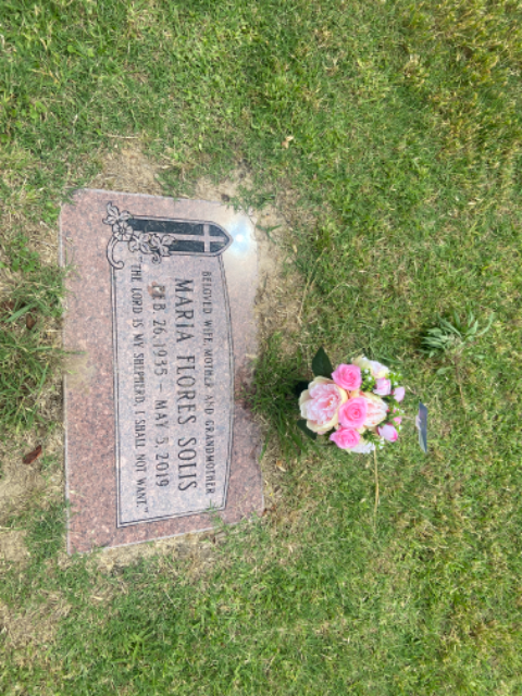 Flower delivery for Maria Solis