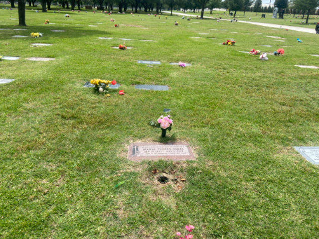 Flower delivery for Maria Solis