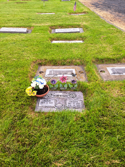 Flower delivery for Cecelia Mikkelsen Robertson