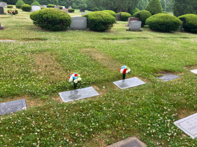 Flower delivery for Rose Mary Nampel