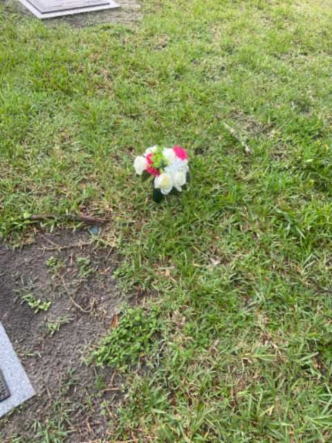 Flower delivery for Matherlene May