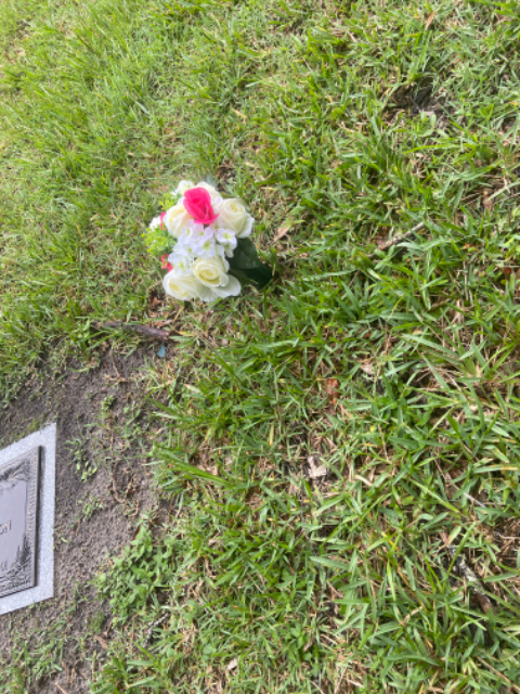 Flower delivery for Matherlene May