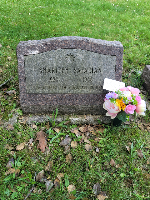 Flower delivery for Sharifeh Safaeian