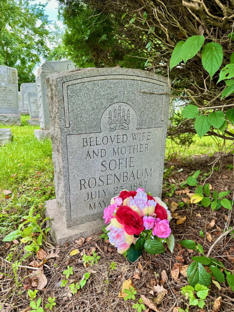 Flower delivery for Sofie Rosenbaum
