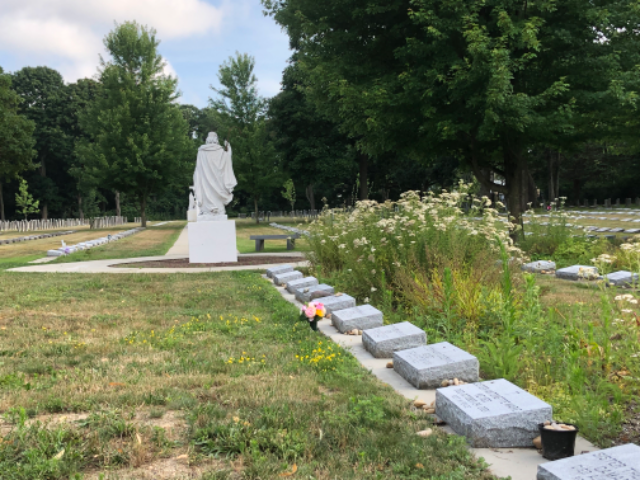 Flower delivery for Barbara Ann Doyle