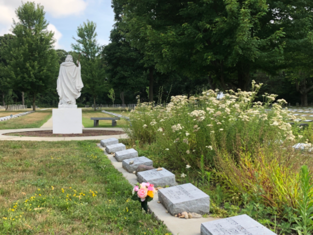 Flower delivery for Barbara Ann Doyle