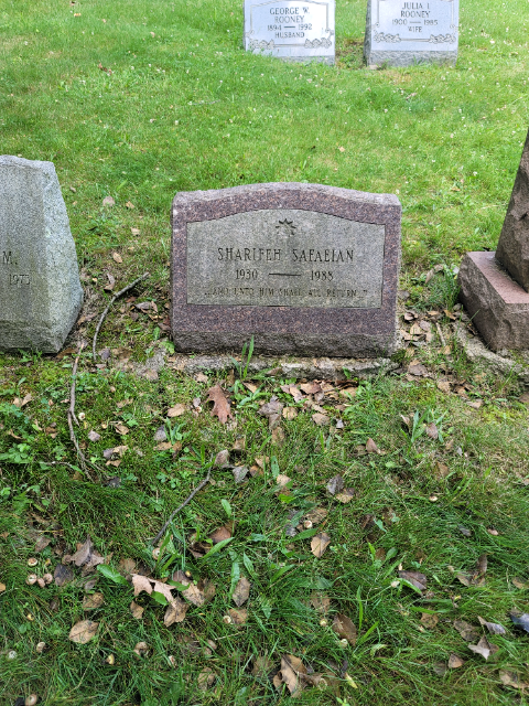 Flower delivery for Sharifeh Safaeian