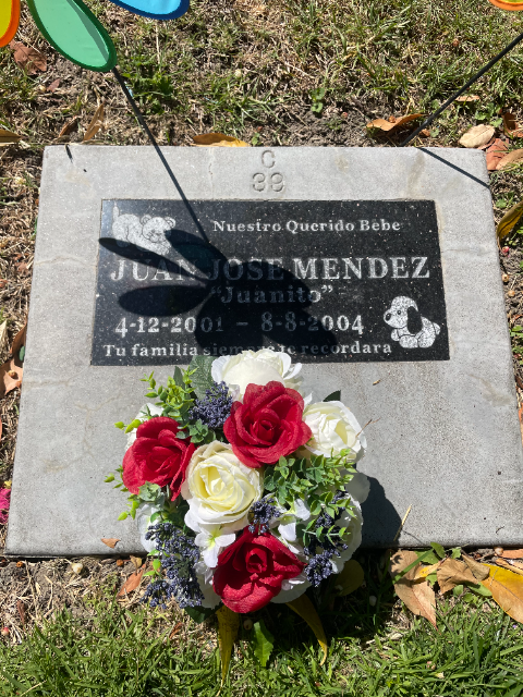 Flower delivery for Juan Jose Mendez