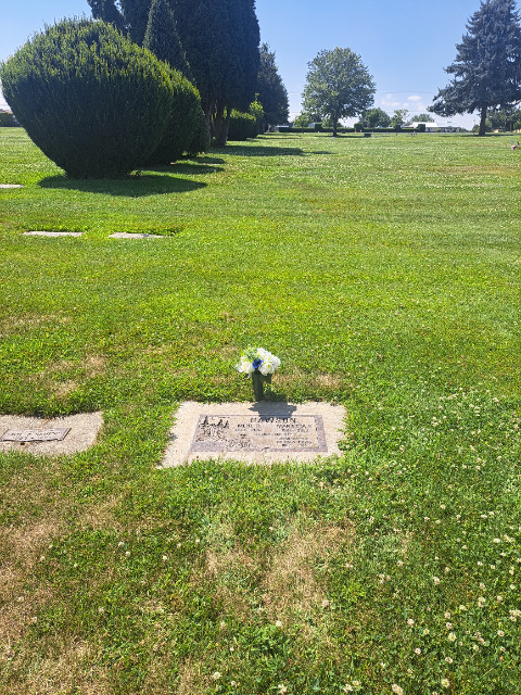 Flower delivery for Brian Andrew Davis