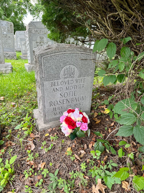 Flower delivery for Sofie Rosenbaum