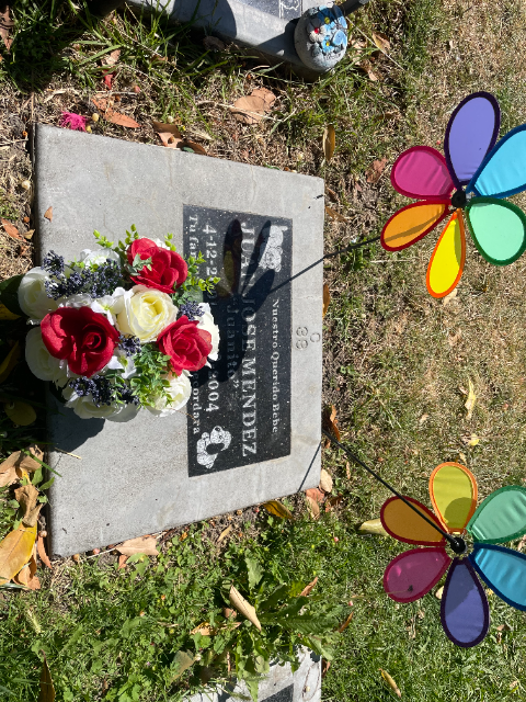 Flower delivery for Juan Jose Mendez