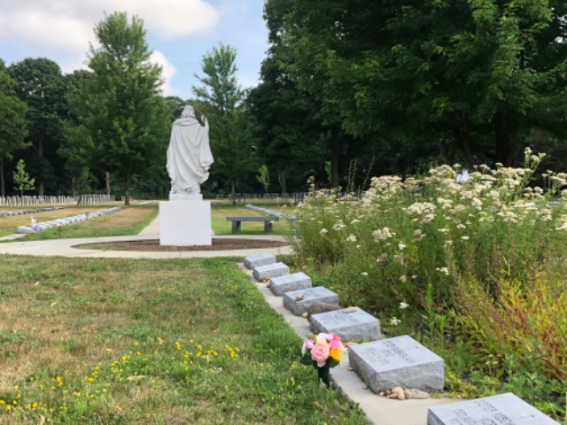 Flower delivery for Barbara Ann Doyle