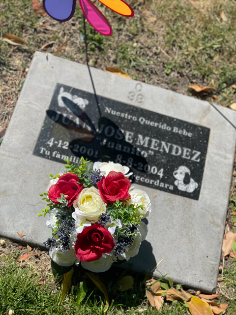 Flower delivery for Juan Jose Mendez