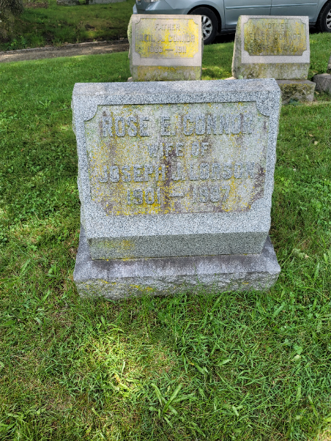 Flower delivery for Rose E Lorson