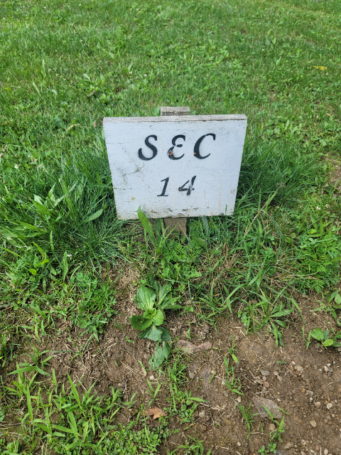 Flower delivery for Earmer Best