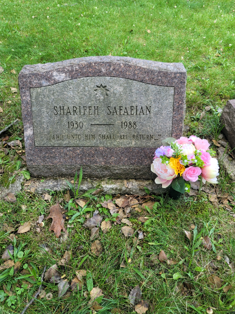 Flower delivery for Sharifeh Safaeian