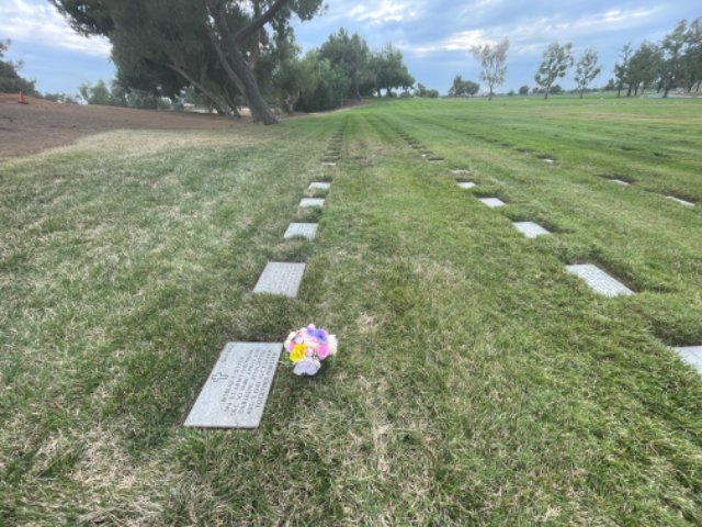 Flower delivery for Darleene Jean Sitter