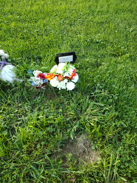 Flower delivery for Dale Easterling