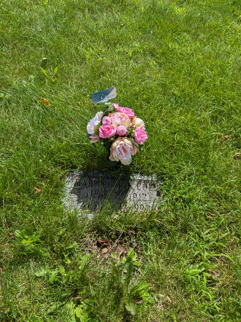 Flower delivery for Mary Cole