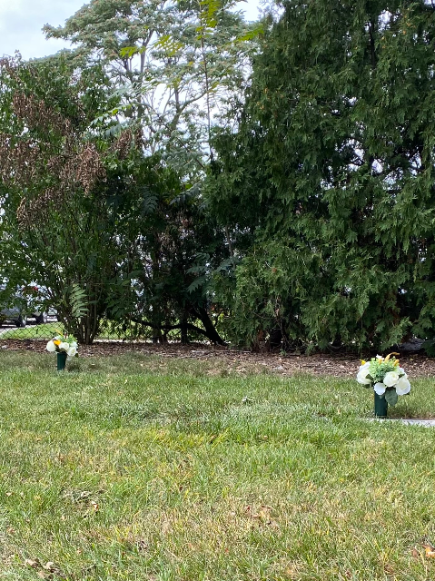 Flower delivery for Mike Polinsky