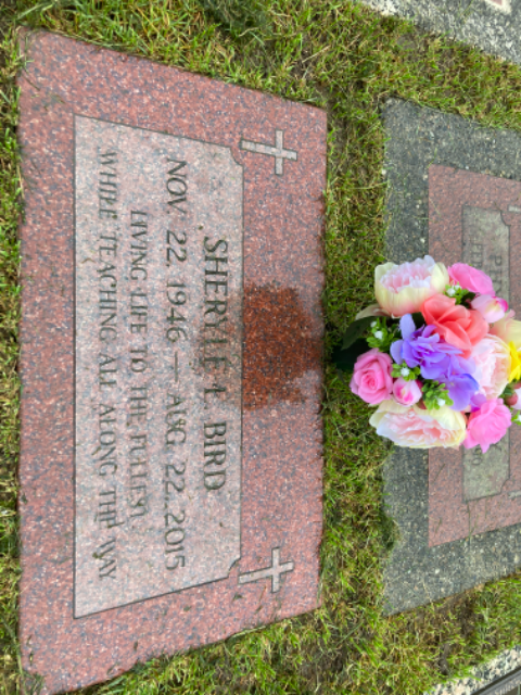 Flower delivery for Sheryle Lynn Bird