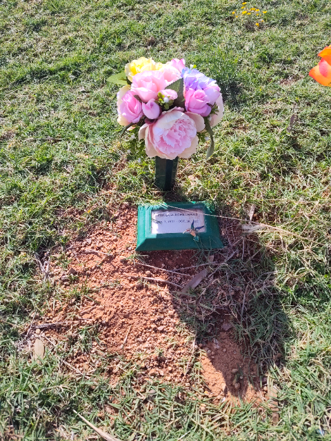 Flower delivery for Rebecca Schelhaas