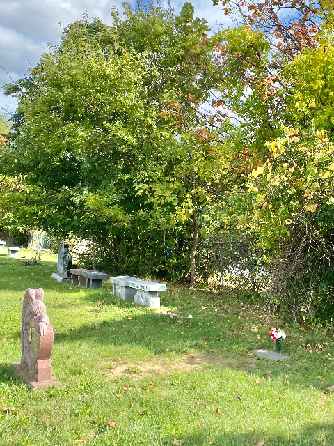 Flower delivery for Michael Rodney Williams