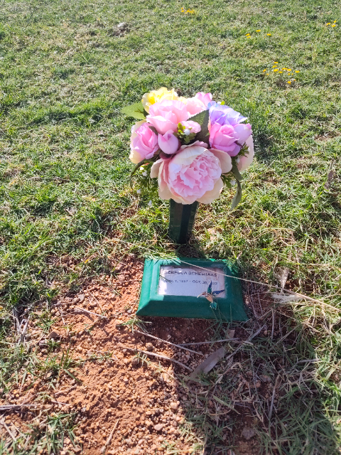 Flower delivery for Rebecca Schelhaas