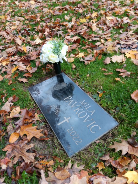 Flower delivery for Mila Pavkovic