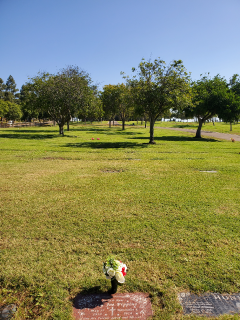 Flower delivery for Betty Joe Pippins