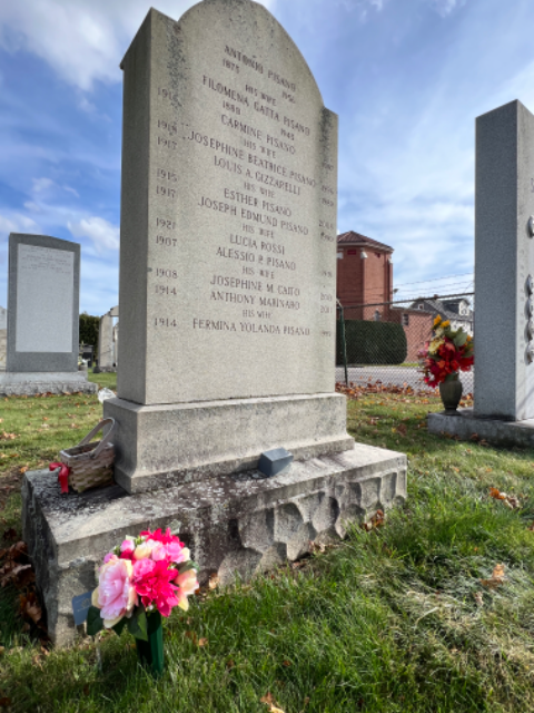 Flower delivery for Fermina Yolanda Marinaro