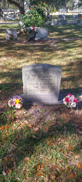 Flower delivery for Sonia Ludgero Da Silva