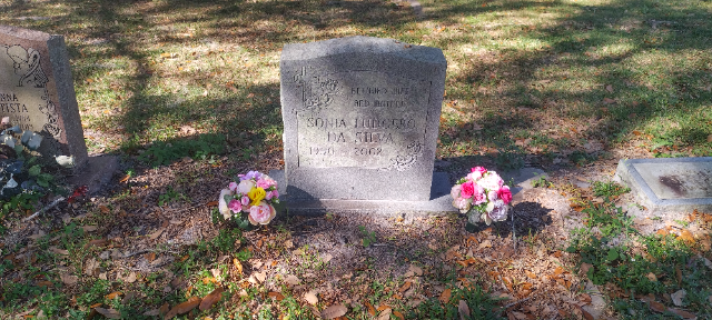 Flower delivery for Sonia Ludgero Da Silva