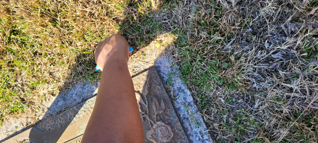 Flower delivery for Ozella Palmer