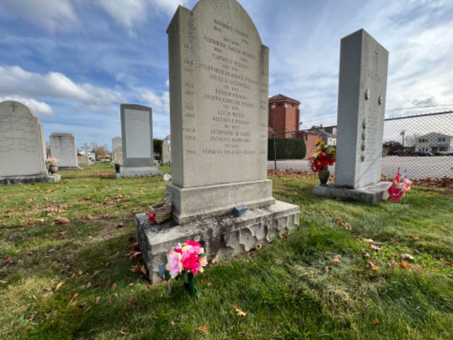 Flower delivery for Fermina Yolanda Marinaro