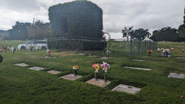 Flower delivery for Carolyn Barbara Amable