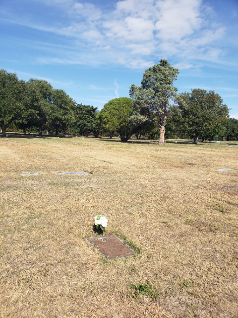 Flower delivery for Ralph W Starrett