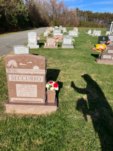 Flower delivery for Sue Seccurro