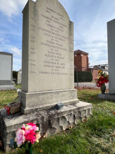 Flower delivery for Fermina Yolanda Marinaro