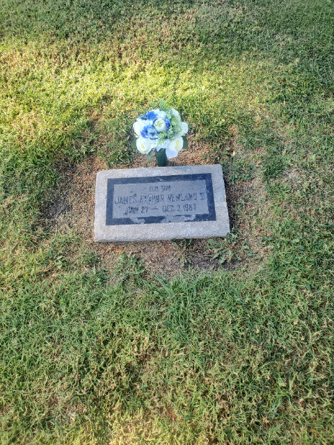 Flower delivery for James Arthur Newland