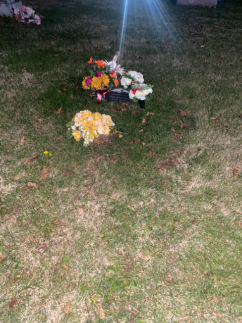 Flower delivery for Susan McCorristin