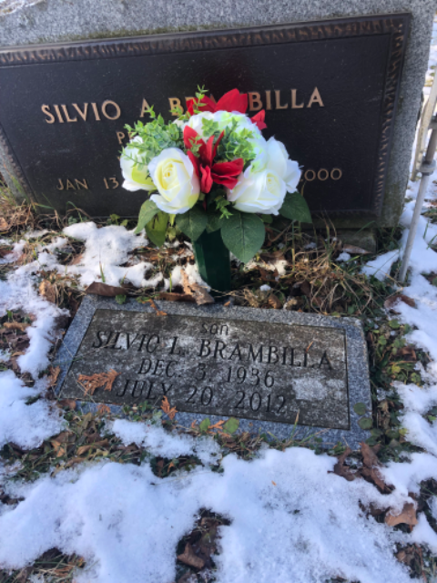 Flower delivery for Silvio Lewis Brambilla