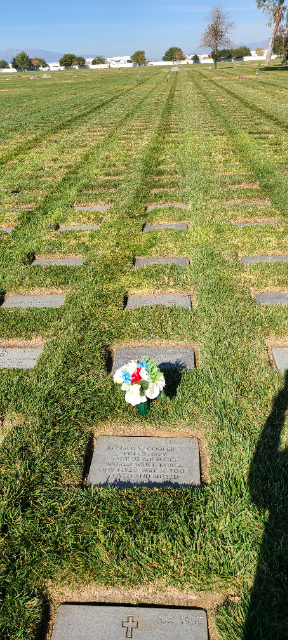 Flower delivery for Donald W Cooper