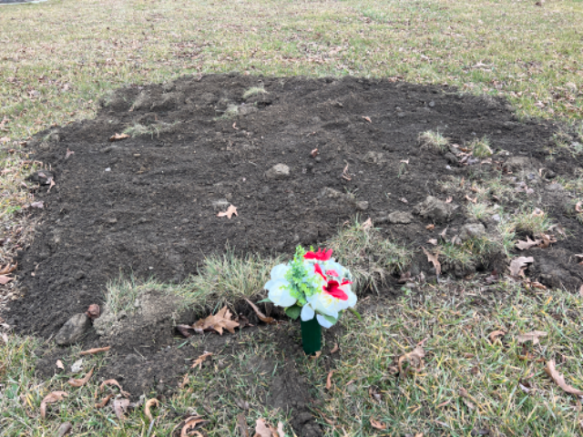 Flower delivery for Kelly J. Miller